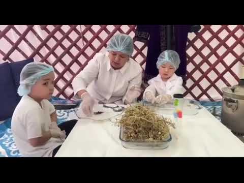 Видео: "Мен зерттеушімін"