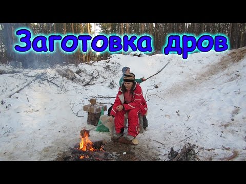 Видео: Семья Бровченко. Заготовка дров + пикник, катаемся с горки. Как выписать дрова.(12.16г.)