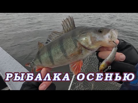 Видео: Рыбалка  Поздней осенью! Что Главное? Место или Правильная Приманка!?