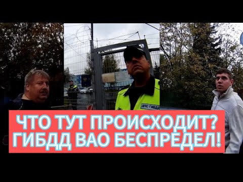 Видео: ЧТО ТУТ ПРОИСХОДИТ?
