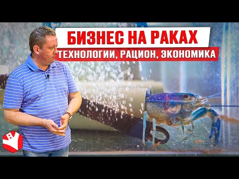 Видео: Как работает акваферма? | Выращивание и продажа раков | Бизнес идеи