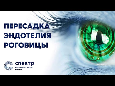 Видео: Пересадка эндотелиального слоя роговицы (замена эндотелия) DMEK. Спасение зрения пациента.