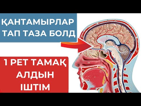 Видео: АСПИРИННЕН ДЕ МЫҚТЫ КАНДЫ ТЕЗ СҰЙЫЛТАДЫ! Қан қоюланғанда не істеу керек
