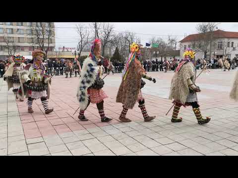 Видео: Кукерите при НЧ "Просвета 1892" гр. Стралджа на Общински кукерски празник Стралджа 2019