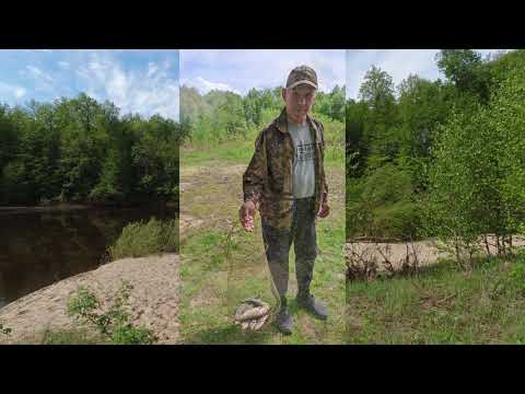 Видео: ТЁША