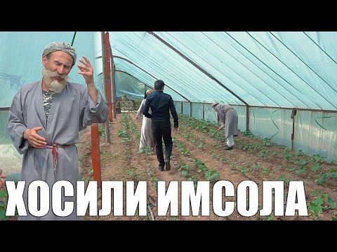 Видео: ГАРМХОНАРА БАНОМИ ДОМОД КАРД КИ ДОМОД ГУРЕХТ. САХНАИ НАВИ БОБОИ МЕРГАН