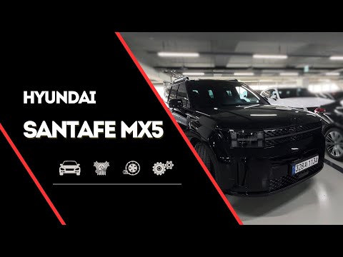 Видео: Такой Santa Fe MX5 в Корее — редкость! Идеальное состояние перед покупкой