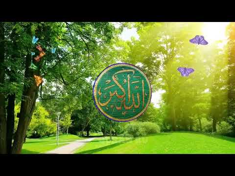 Видео: ЧУДО ДУА СИЛЬНАЯ ПОМОЩЬ АЛЛАХ ОТКРОЕТ ВАМ ВСЕ ДВЕРИ