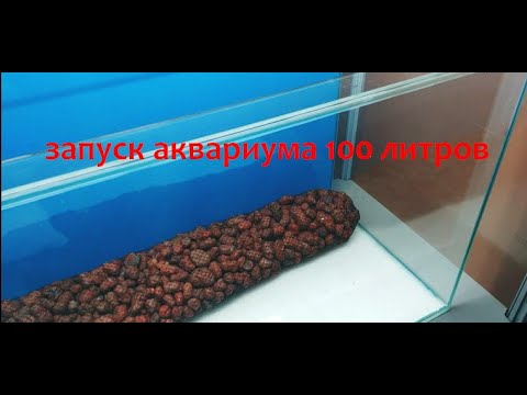 Видео: Запуск аквариума 100 литров