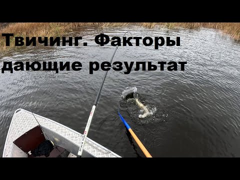 Видео: Три фактора успешного твичинга.