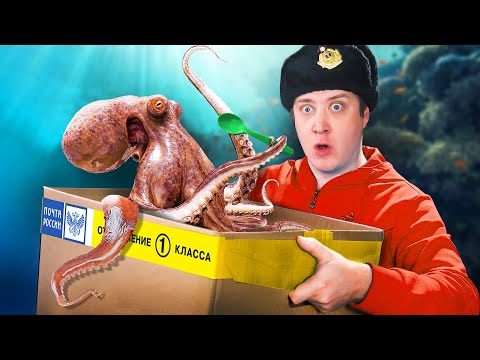 Видео: ИРП от ПОДПИСЧИКА! Самая большая посылка из ИСПАНИИ! У МЕНЯ НА ЭТО АЛЛЕРГИЯ!