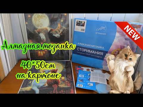 Видео: Алмазная мозаика Лунная ночь с котиками от Артемании из серии Сторимания на картоне 40*50см 🤗😺✨🌛💛