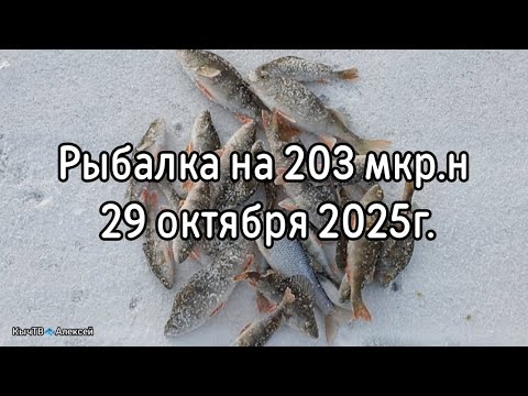 Видео: Рыбалка на 203 мкр.н