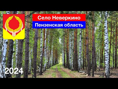 Видео: Красивый лес в Неверкино // Замёрзли все дубы // Путешествуем по Пензенской области (6.05.2024)