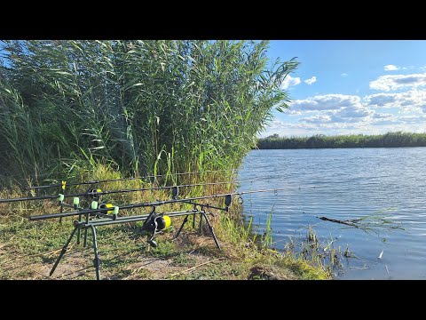 Видео: Дві доби на Дністрі ч.1. Ловим САЗАНА на горох. Готуєм на природі. Рибалка 2025