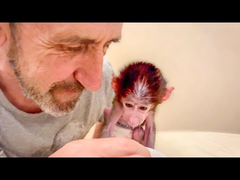 Видео: Накормить Степашка  всё труднее, если ему НЕ НРАВИТСЯ ЕДА, можно даже не пытаться его накормить!