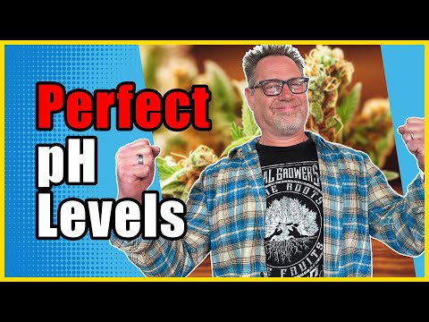 Видео: Профессиональные производители каннабиса делают ЭТО, чтобы добиться ИДЕАЛЬНОГО уровня pH