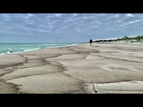 Видео: Медитация LVL PRO | Пашу на быке | 11 быков дзен, серия 11