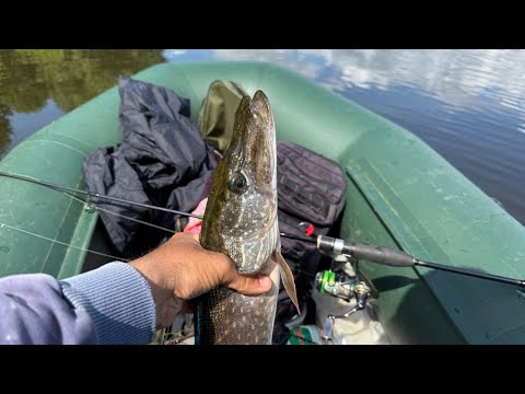 Видео: Ловля щуки на блесну вертушку. Щука на спиннинг ультралайт. Рыбалка на спиннинг. Щука на вертушку.