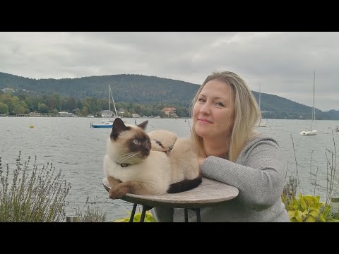 Видео: Chippendales, ЛЖЕ Дмитрий из Каринтии