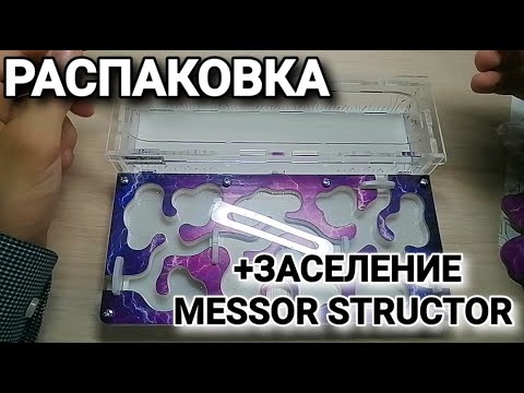 Видео: Распаковка и обзор фермы от Top Ant+ заселение Messor structor. #МуравьиЯрославль