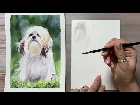 Видео: Варианты техник для шерсти