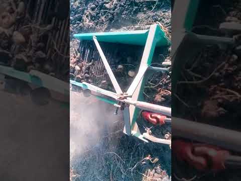 Видео: Картоплекопач КТН 1-60