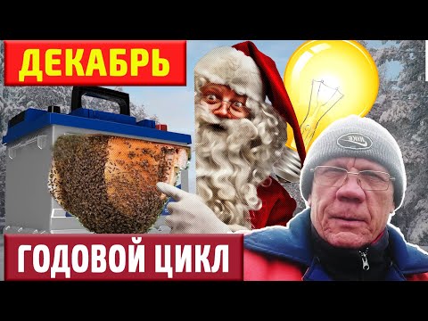 Видео: Основные работы пчеловода в декабре. Какие причины гибели пчел зимой?