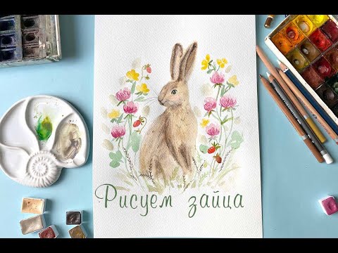Видео: Заяц сидит в полевых цветах. Рисую акварелью зайца, клевер, лютики и землянику