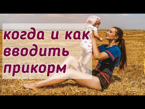 Видео: ПЕРВЫЙ ПРИКОРМ:  когда и как?  Кто прав,  кого слушать?