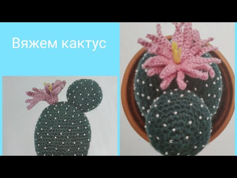 Видео: Вяжем кактус Эхиноцереус Шери. Часть 2.  Вяжем вместе.