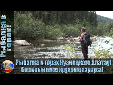 Видео: Рыбалка в горах Кузнецкого Алатау! Бешеный клев крупного хариуса!