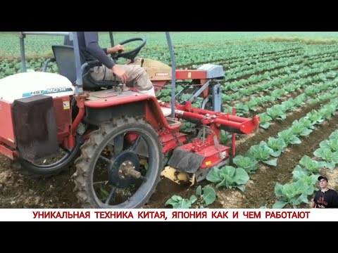 Видео: УДИВИТЕЛЬНЫЙ КИТАЙ, ЯПОНИЯ КАК И ЧЕМ РАБОТАЮТ / AMAZING CHINA, HOW AND WHAT THEY WORK, COMPILATION