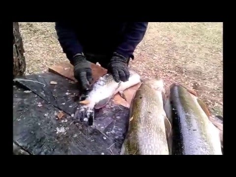 Видео: Нож настоящего рыбака