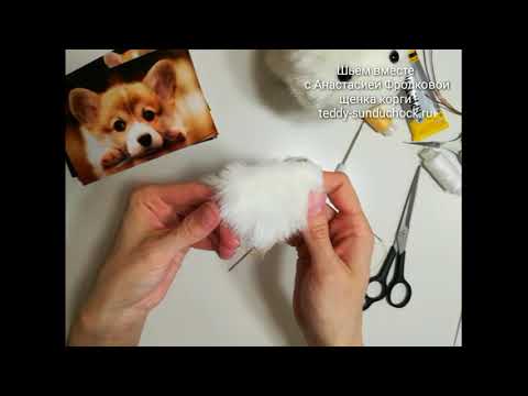 Видео: МК Корги. Урок 10.1 Стрижка, армирование и крепление ушек.