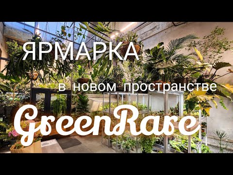 Видео: GreenRare переехал/Ярмарка в новом пространстве/Можно ли трогать растения?
