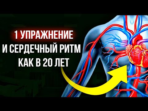 Видео: 3 точки от нарушения ритма сердца.
