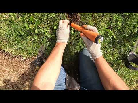 Видео: Металлоискательство после большого ягодного фестиваля с катушкой HF2.