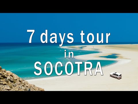 Видео: 7-ми дневный тур по Сокотре с картой острова / Socotra 7 days tour, Yemen [EN subt]