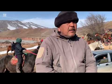 Видео: Кара-Кулжа району 1-Май айылы 1987-ж жигиттердин Аламан улагы @utrksport @kokboru_jylkylary