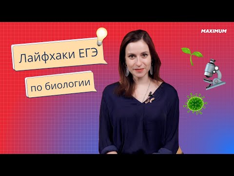 Видео: ЕГЭ по биологии: как запомнить теорию к заданиям