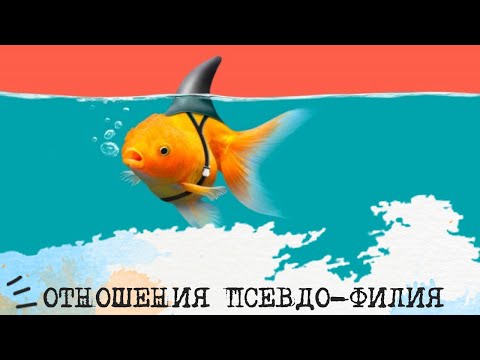 Видео: Отношения ПСЕВДО-ФИЛИЯ🖤