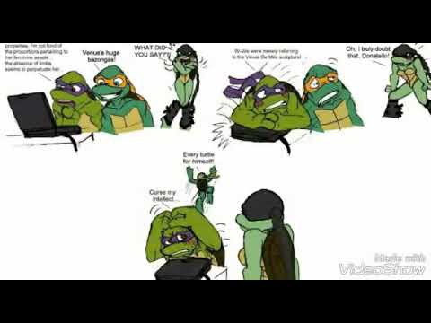 Видео: Черепашки ниндзя и их девушки !