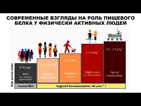 Видео: лекция: СОВРЕМЕННЫЕ ВЗГЛЯДЫ НА РОЛЬ ПИЩЕВОГО БЕЛКА У ФИЗИЧЕСКИ АКТИВНЫХ ЛЮДЕЙ