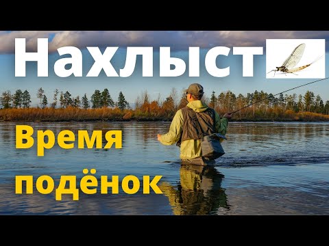 Видео: Нахлыст - Ловля Хариуса на Мушку подёнку