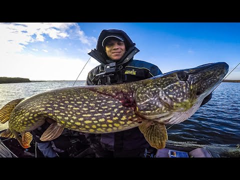 Видео: Юрец ОТКРЫЛ СЕКРЕТ !!! на что клюют МАМОНТЫ !!! 2 ТРОФЕЯ с точки !!! Рыбалка на крупную ЩУКУ