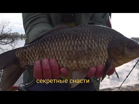 Видео: #рыбалка #фидер #днепр   Весенний клев на Реке!  Простая рыбалка! "Подольская Вилка"