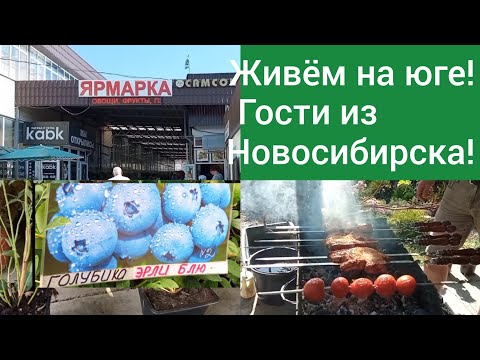 Видео: Гости из Новосибирска/В Белореченск за голубикой и торфом/Антрекоты на костре/