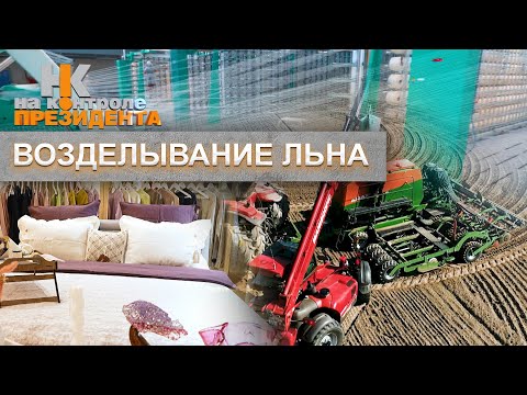 Видео: Возделывание льна в Беларуси: насколько востребованы изделия из льна? На контроле Президента