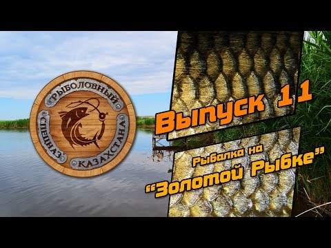 Видео: #11. Ловля Толстолобика. Озеро Золотая Рыбка. Рыбалка в Алматы.